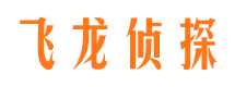 成县市侦探调查公司